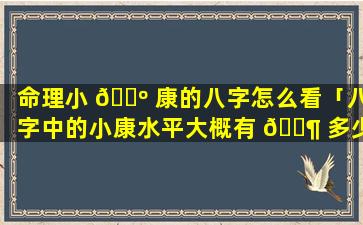 命理小 🐺 康的八字怎么看「八字中的小康水平大概有 🐶 多少钱」